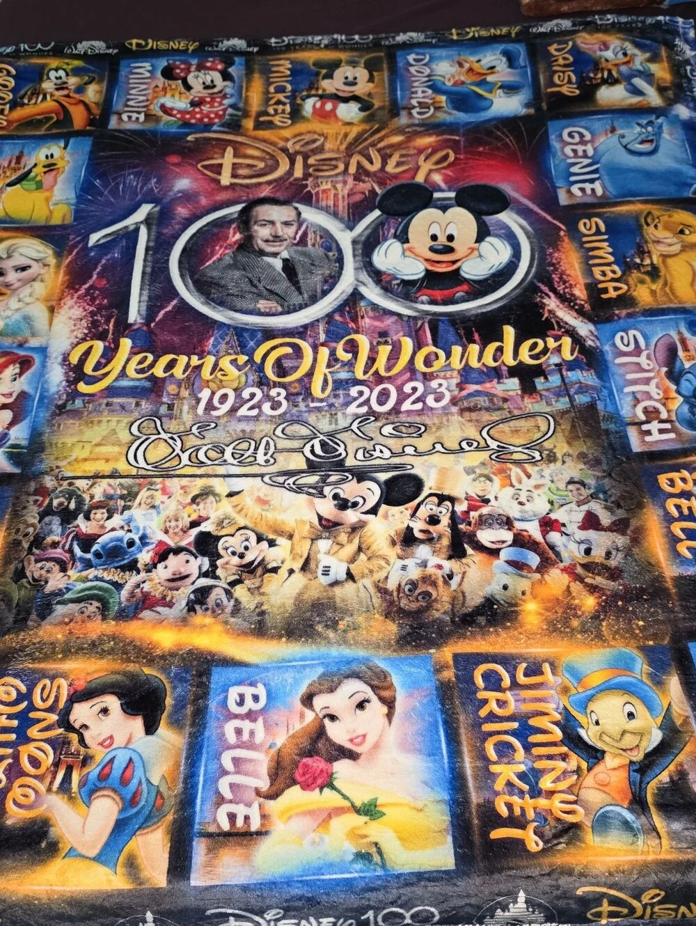 Disney 100 Years of Wonder Multicolor Throw Blanket
